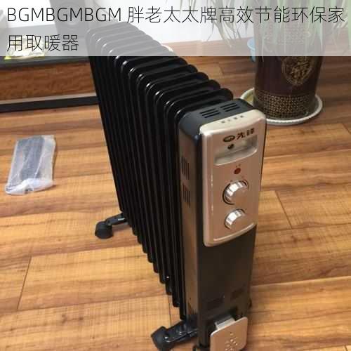 BGMBGMBGM 胖老太太牌高效节能环保家用取暖器