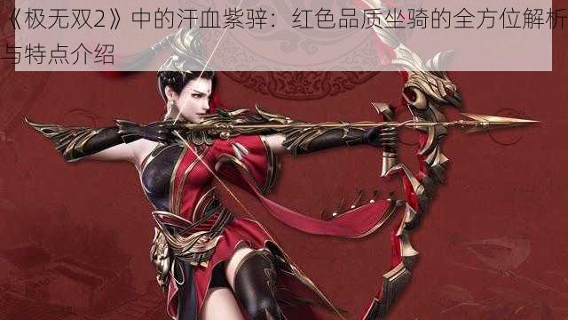 《极无双2》中的汗血紫骍：红色品质坐骑的全方位解析与特点介绍