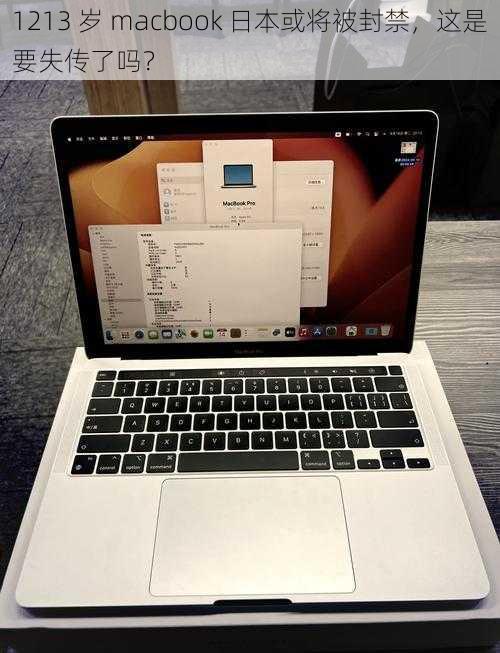 1213 岁 macbook 日本或将被封禁，这是要失传了吗？