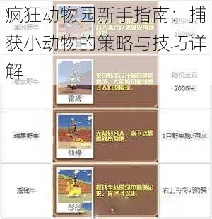 疯狂动物园新手指南：捕获小动物的策略与技巧详解