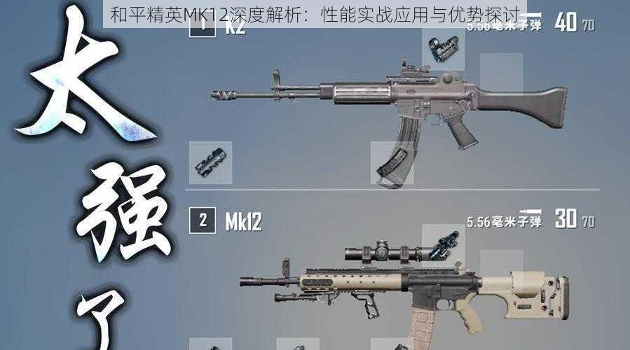 和平精英MK12深度解析：性能实战应用与优势探讨