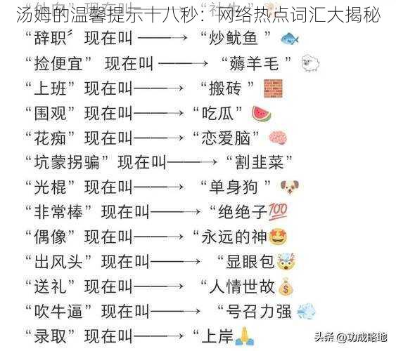 汤姆的温馨提示十八秒：网络热点词汇大揭秘