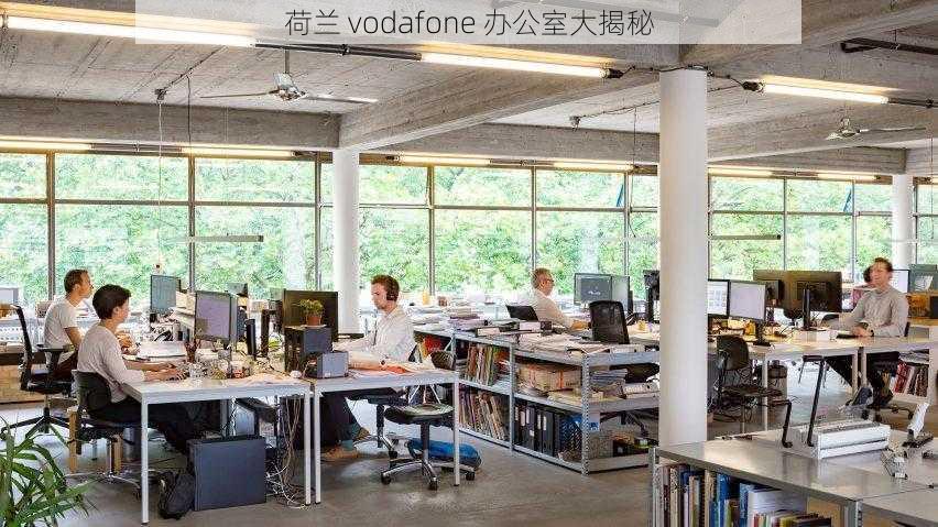 荷兰 vodafone 办公室大揭秘