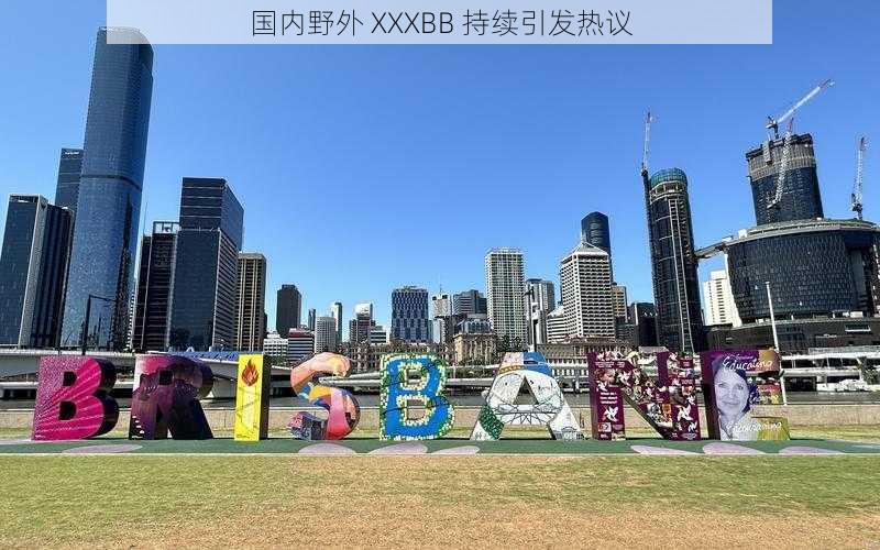 国内野外 XXXBB 持续引发热议