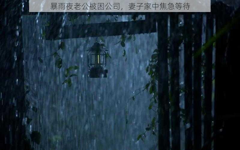 暴雨夜老公被困公司，妻子家中焦急等待