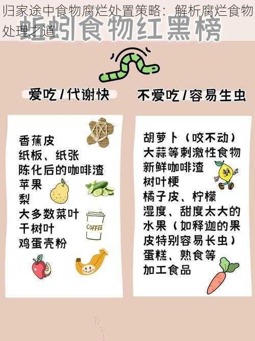 归家途中食物腐烂处置策略：解析腐烂食物处理之道