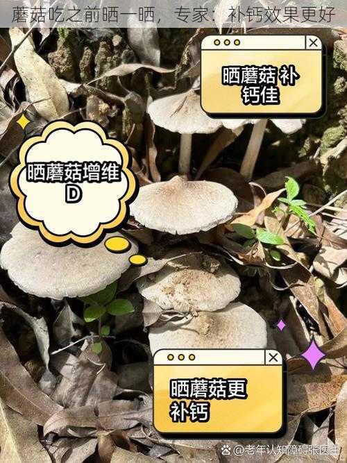 蘑菇吃之前晒一晒，专家：补钙效果更好