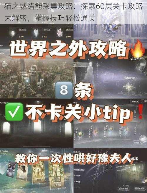 猫之城绪能采集攻略：探索60层关卡攻略大解密，掌握技巧轻松通关