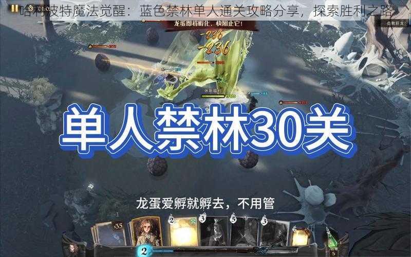 哈利波特魔法觉醒：蓝色禁林单人通关攻略分享，探索胜利之路