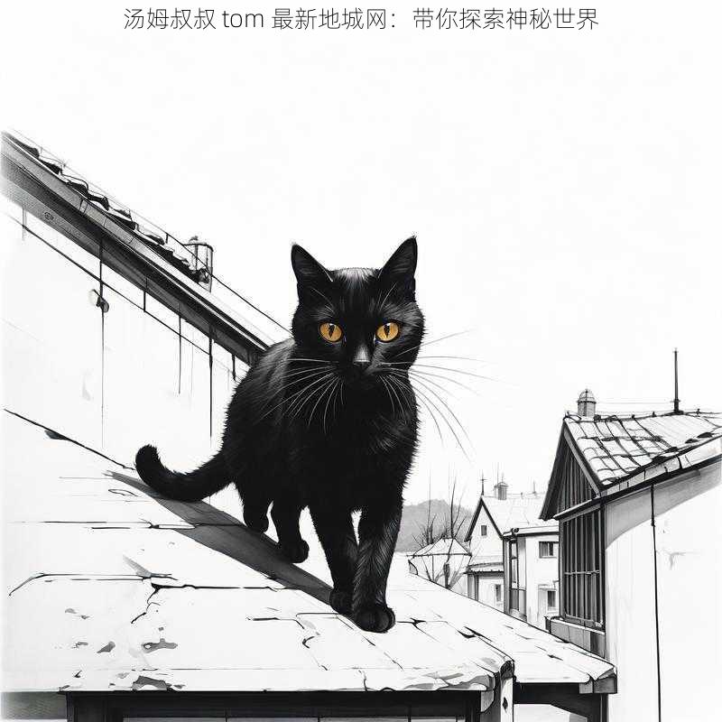 汤姆叔叔 tom 最新地城网：带你探索神秘世界