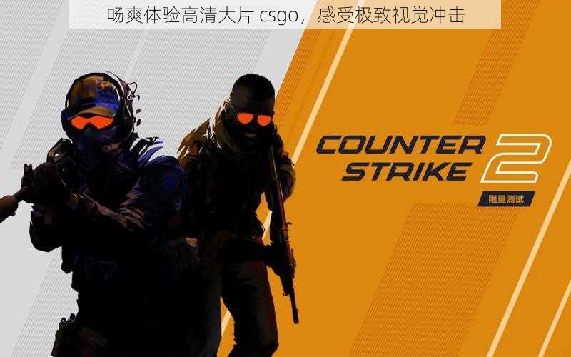 畅爽体验高清大片 csgo，感受极致视觉冲击